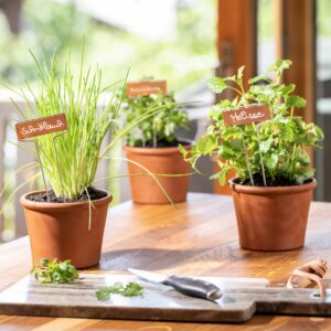 Pflanzenschilder Kupfer