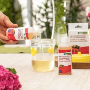 Wespenköder Nachfüllpack 2 x 125ml