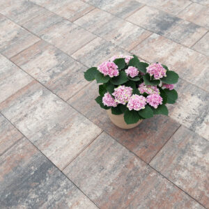 Terrassenplatte Figuera