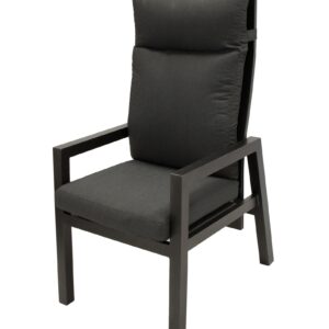 Sessel Hochlehner, Aluminium dunkelgrau mit Polster