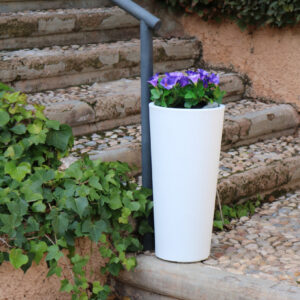 Gartenlampe Ficus 60 Solar Intelligente Technik