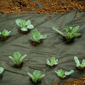 Unkrautvlies schwarz 1,2x10m