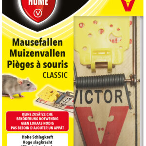 Mausefallen Classic, 2 Stück