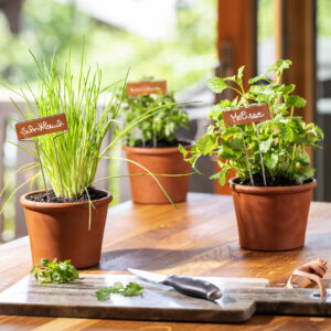 Pflanzenschilder Kupfer