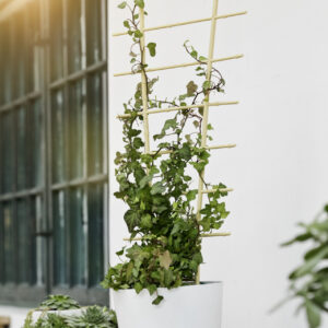 Blumenstütze Bambus