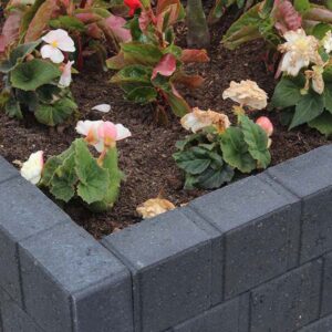 Palisadenbordstein Quadrobord, 50x11,5x8cm