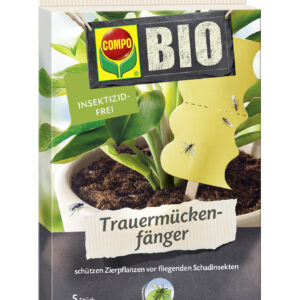 Trauermückenfänger, 5 Stück