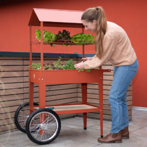 Kräuterfabrik Urban Expert