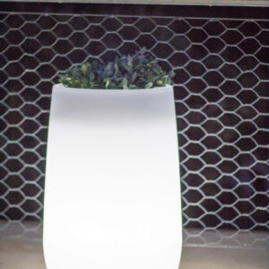 Gartenlampe Camelia High Solar Intelligente Technik