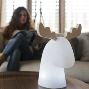 Weihnachtsleuchte Rentier Rudy 35 Beleuchtet Solar + Akku