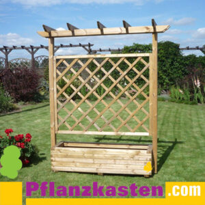 Pflanzkasten Kiefer mit Rankgitter 150x50x40cm Typ Robi