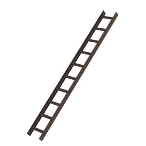 Günzburger Steigtechnik Dachleiter Braun 10 Sprossen