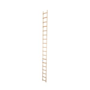 Das richtige Gewächshaus - problemlos und komfortabel 12 Krause DachLeiter Holz 18 Sprossen