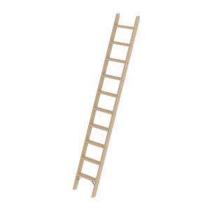 Günzburger Steigtechnik Stufen-Anlegeleiter Holz ohne Traverse 10 Stufen